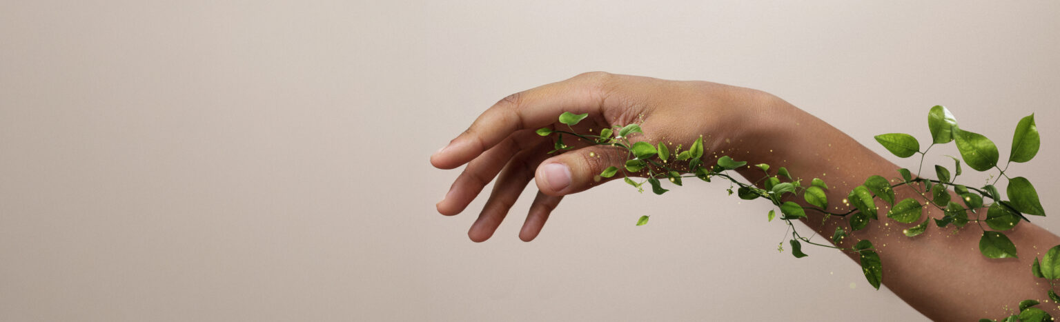 photo d'un bras entouré de végétation illustrant le développement durable